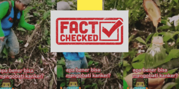 CEK FAKTA, Klaim Akar Bajakah Dapat Mengobati Kanker?