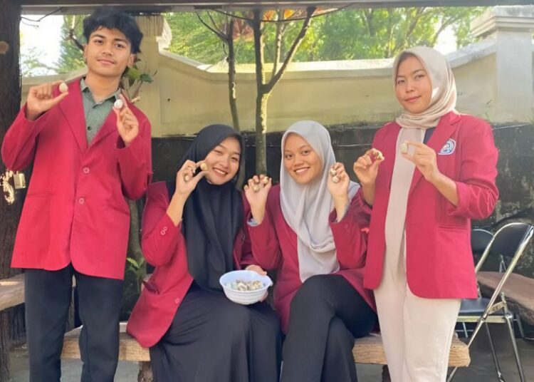 Telur Puyuh Rendah Kolesterol: Inovasi Sehat dari Mahasiswa UMM