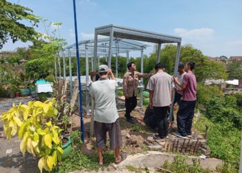 Hidroponik untuk Ketahanan Pangan di Lahan Sempit
